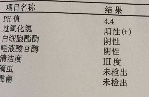 阴道分泌物茄子视频黄色版本下载安装包分析阴道清洁度