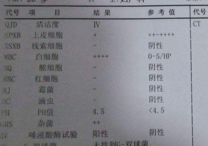 妇科白带茄子视频黄色版本下载安装包谈阴道分泌物化验单要怎么看？