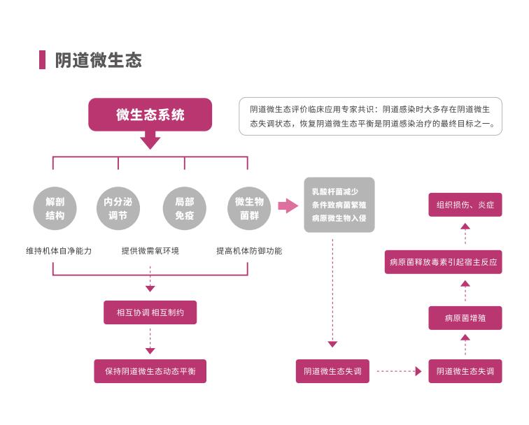 全自动阴道炎茄子视频黄色版本下载安装包LTS-V400阴道微生态系统